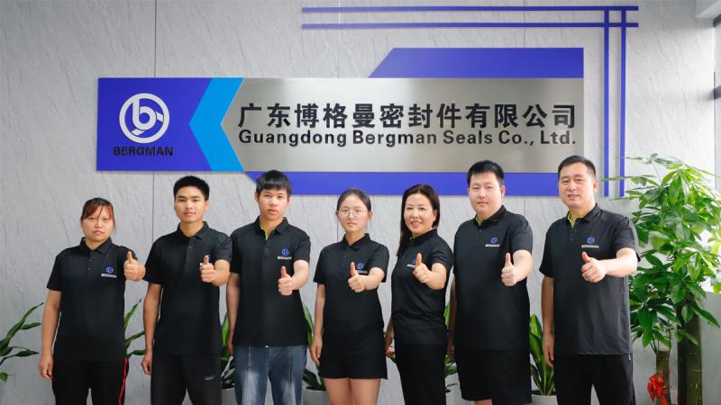 Verifizierter China-Lieferant - Guangzhou Bogeman Mechanical Seal Co., Ltd.