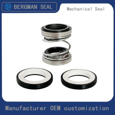 China BERGMAN 202/208-10mm-60mm Pipeline Pump Mechanical Seal NBR VITON EPDM Material for sale