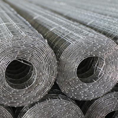 China Easy to Work With - Easily Formed and Bent Welded Wire Mesh Hot Dipped Galvanized Welded Wire Mesh 25x25mm Hole 25x25mm for sale