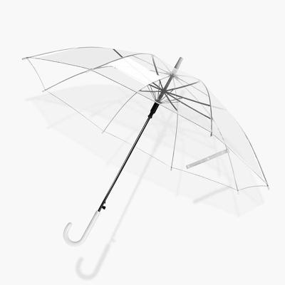 China Cute transparent umbrella clear black metal umbrella transparent umbrella for women for sale