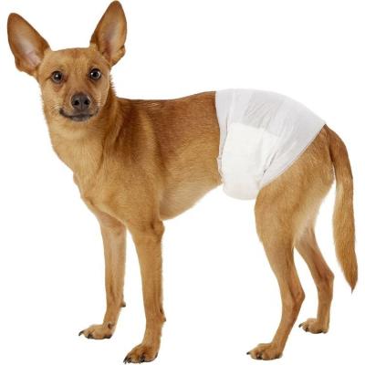 China Viable Price High Quality Cheap Waterproof Super Absorbent Disposable Male Dog Diaper for sale