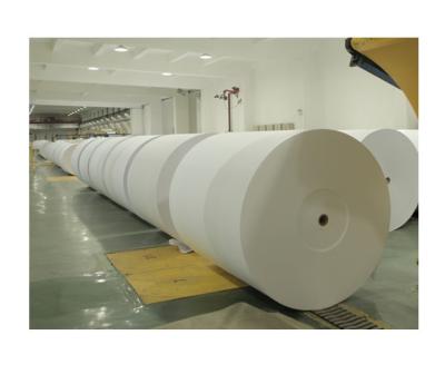 China 170-400GSM Anti Curl White Cardboard Paper Roll FBB For Packing Box for sale