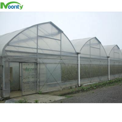 China PE Butterfly Roof Window Greenhouse Plastic Sheet New Agriculture for sale