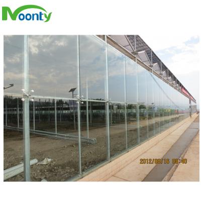 China Agriculture Planting Low Cost Agricultural Hydroponic Glass Greenhouse For Strawberry/Tomato/Lettuce/Cucumber Growing for sale