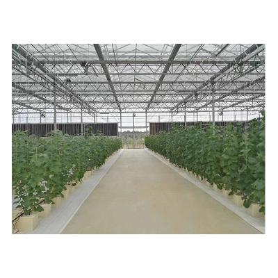 China High Efficiency Plant Customized New Technical Grow System Farm Variety Grow Bed Glass Greenhouse Hydroponics for sale