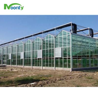 China Agriculture Planting Accept Custom Customized Agricultural Multi-roof New Commercial Glass Greenhouse for sale