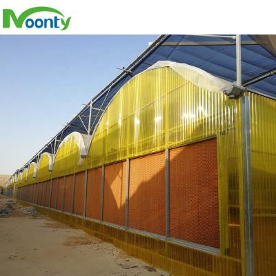 China Agriculture Planting Inflatable Polycarbonate Greenhouse For Sale for sale