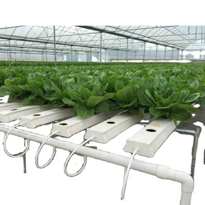 China Commercial Hot Sale NFT Hydroponic Growing Systems for sale