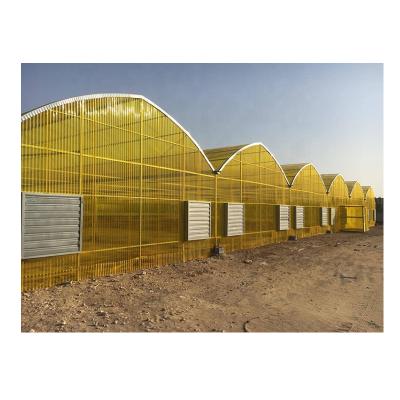 China Agriculture Planting Middle East Ripple Polycarbonate Agriculture Green House PC Sheet High Quality Multi Span Greenhouse for sale