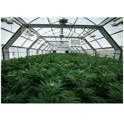 China Sustainable Herb Growing Greenhouse for sale