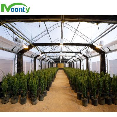 China Long Lasting Medical Herbs Growing Light Deprivation Greenhouse for sale