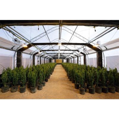 China Durable High Quality Simple Blackout Hemp Span Greenhouse Commercial Light Deprivation Greenhouse for sale