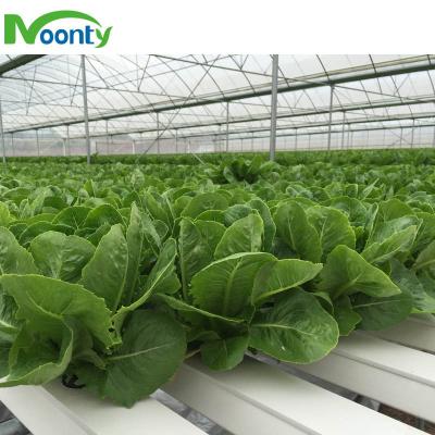 China Modern Commercial Greenhouse Industrial Greenhouse Hydroponic Systems for sale