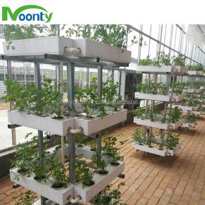 China For Vegetables Hydroponic Growing Systems For Vegetables for sale