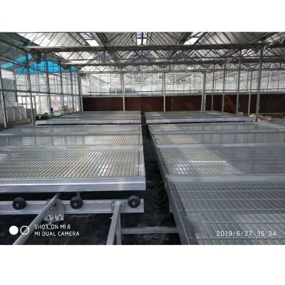 China Automatic Movable Greenhouse Mobile Automatic Bench for sale