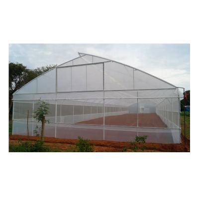 China Agriculture Planting Plastic Single Span Sawtooth Greenhouse Single Tunnel Greenhouse for sale