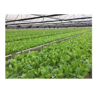 China Modern Intelligent Regulation Flowers Vegetables Greenhouse Hydroponics Grow System for sale