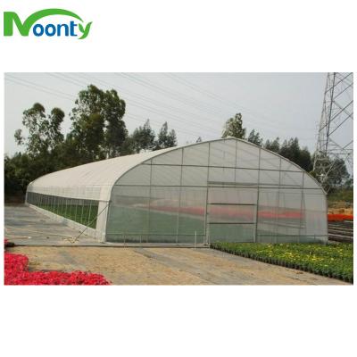 China Eco Friendly Tunnel Greenhouse for sale