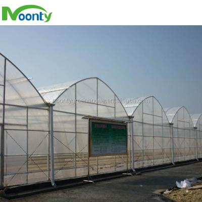 China PE used commercial greenhouses for sale