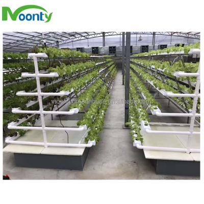 China Greenhouse Plastic Hydroponics for sale