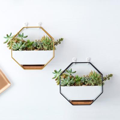 China Geometric Wall Decor Hexagon Wall Hanging White Ceramic Flower Planters with Bamboo Tray for sale