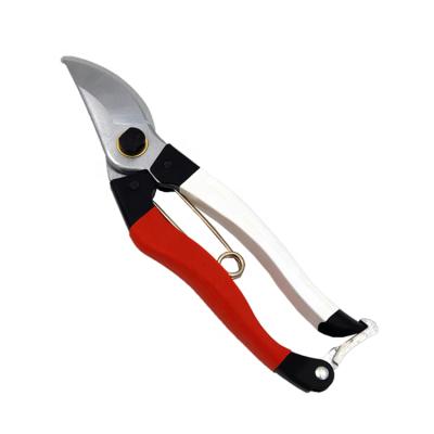 China Anti-Slip Handle 8 In Hand Garden Tools Cutting Scissors Tree Pruner for sale