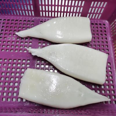 China Organic Squid Tube Frozen Cleaned Gigas Squid Tubes (Gigas) for sale