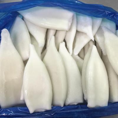 China Calamari U5 U10 Organic Squid Tube Frozen Loligo Tube Squid for sale