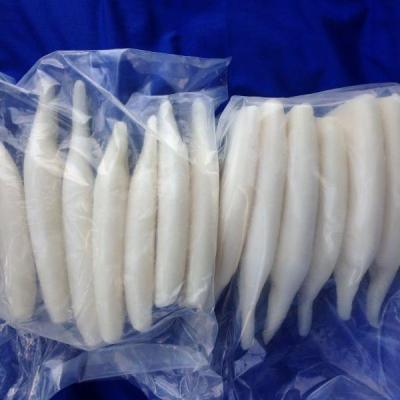 China Giant Squid Organic Cleaned Frozen Tube U3 U5 U10 for sale