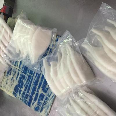 China High quality organic frozen squid from Vietnam for sale