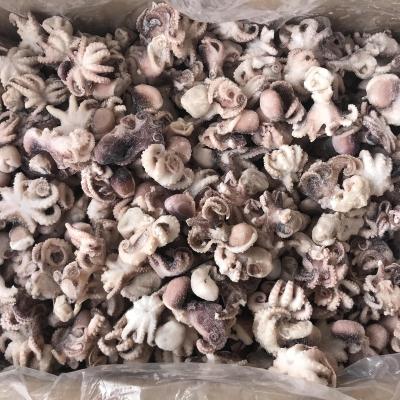 China Small safety frozen vacuum packed octopus for sale