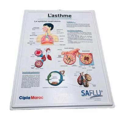 China 3D Embossed Educational Plastic Medical Anatomical Chart /Poster - Understanding The Lungs /Blister Wall 3D for sale