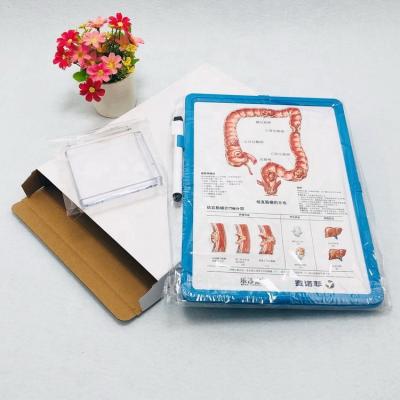 China Plastic Erasable Manuscript Medical Whiteboard for sale