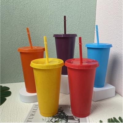 China Hot Selling 24oz Disposable BPA Free Iced Reusable Plastic LGBT Pride Drinkware Set Of 5 Glitter Straw Cups With Lids And Straws for sale