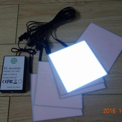 China Constant Light/Fast Flash/Slow Flash Special Customize Portable High Luminance Li-ion Battery USB Charge EL Backlight INVERTER for sale