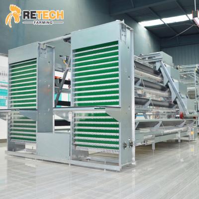 China Automatic Full Layer Chicken Farm System Automatic Completed Battery A Type Cage for sale