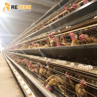 China Good Price Full Automatic Layer Chicken Cages Automatic Poultry Farming Equipment for sale