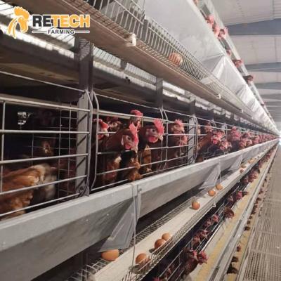 China Q235 Poultry Chicken Farm Steel Wire Mesh Material Eggs Layer Chicken Breeding Cage For Hen House for sale