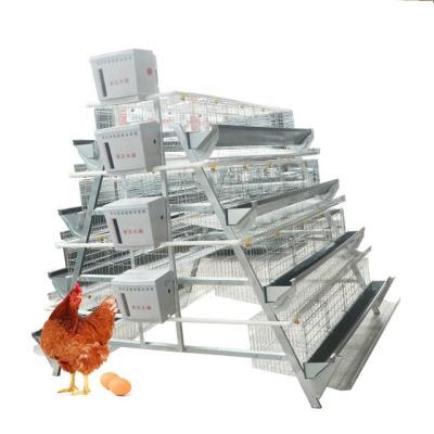 China Full automatic top quality good price egg laying hens farming chicken layer battery cage for sale for sale