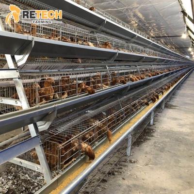 China Easily instasll best selling poultry products 96 128 160 birds egg layer battery chicken cages for sale for sale