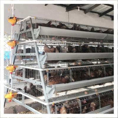 China Full Automatic Type A 96 Birds 3 Rows Layer Poultry Farm Battery Chicken Cage With Automatic Nipple Drinker In Kenya for sale