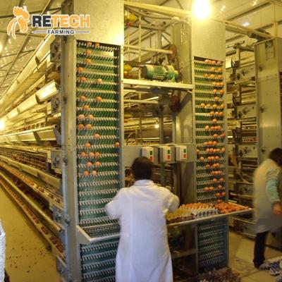 China Cheap commercial chicken feeding automatic poultry farming h type battery chicken cage egg layer for sale for sale