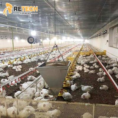 China Poultry Field Breeder Farm Equipment With Automatic Broiler Drinker for sale