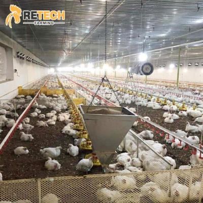 China Floor Pan Feeding System Raising Ground Poultry Field Broiler Farm for sale