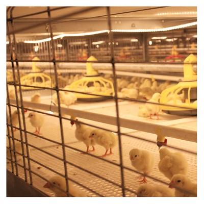 China Farms Easy Operation Environmental Controlled To Build Broiler Chicken Fashion Cages For Farming Equipment for sale