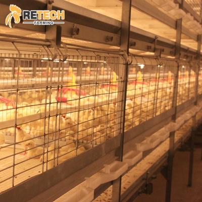 China Farms 3 Tiers H Type Steel Structure Large Scale Poultry Shed Broiler Cage System For Sale for sale