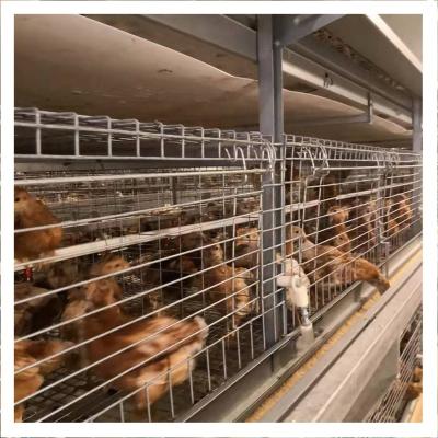 China Commercial Chicken Feeding Automatic Day Old Chicks Poultry Farm Pullet Chicken Cage for sale