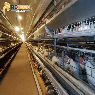 China Full Automatic Hot Dipped Galvanized Vertical Design H Type Broiler Breeder Cage For Poultry for sale