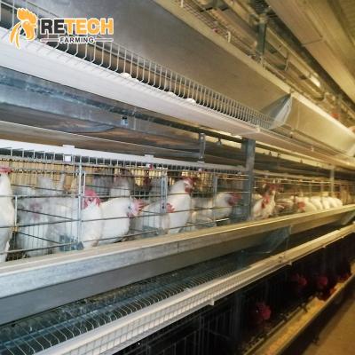 China Full Automatic Poultry Farm Equipment Automatic 3 Rows Lay Egg Breeder Battery Cage System For Sale for sale