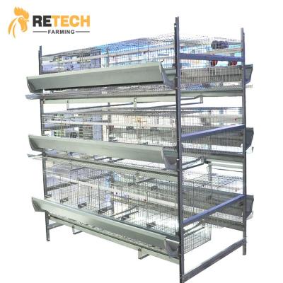 China Full Automatic Hot Dipped Galvanized Design H Type Stock Parents Chicken Layer Cage For Poultry House for sale